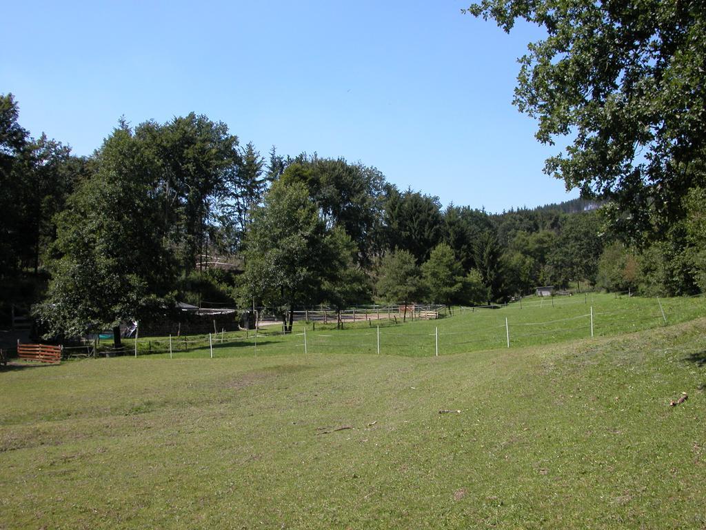 Pension Haus Am Walde Schmallenberg Luaran gambar