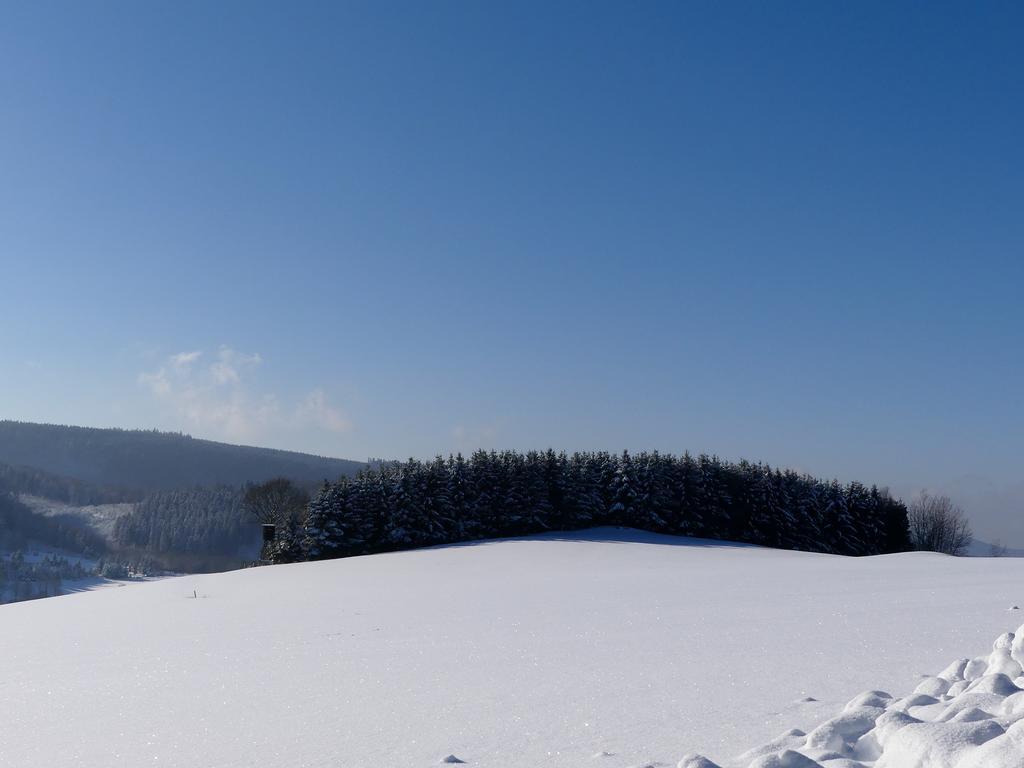 Pension Haus Am Walde Schmallenberg Luaran gambar